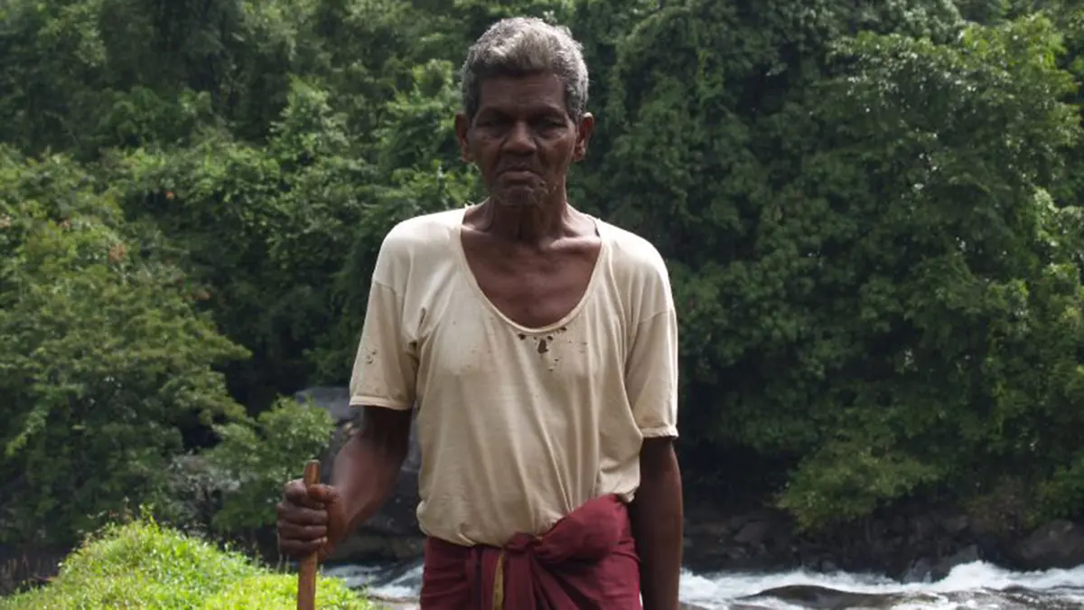 Cholanaikkan Community: Identity Papers Reach Forest Homes