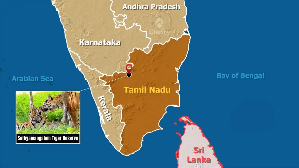 Sathyamangalam Tiger Reserve: Solar Water & Project Elephant