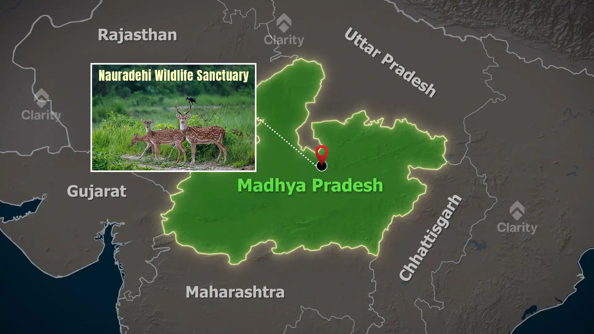 Nauradehi (Rani Durgavati) Wildlife Sanctuary – India’s third cheetah site