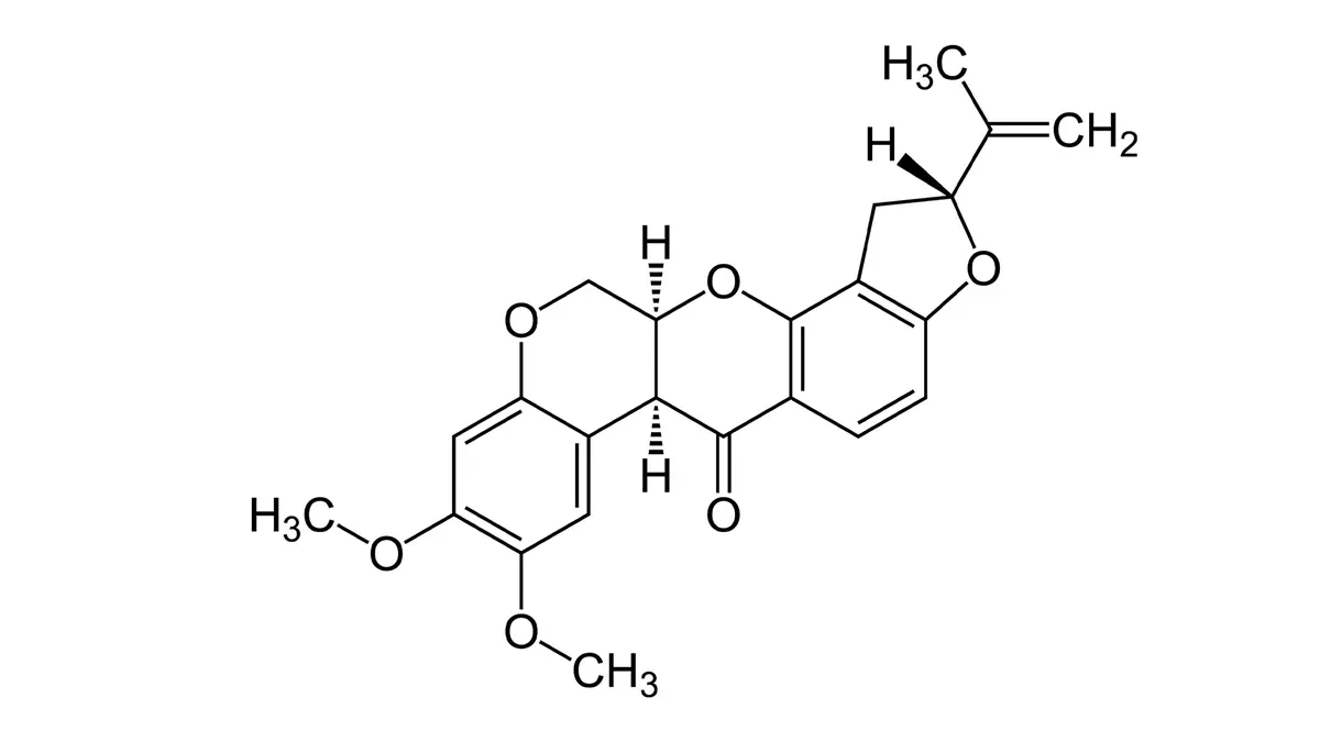 Rotenone Treatment: Piscicide Use & Invasive Northern Pike