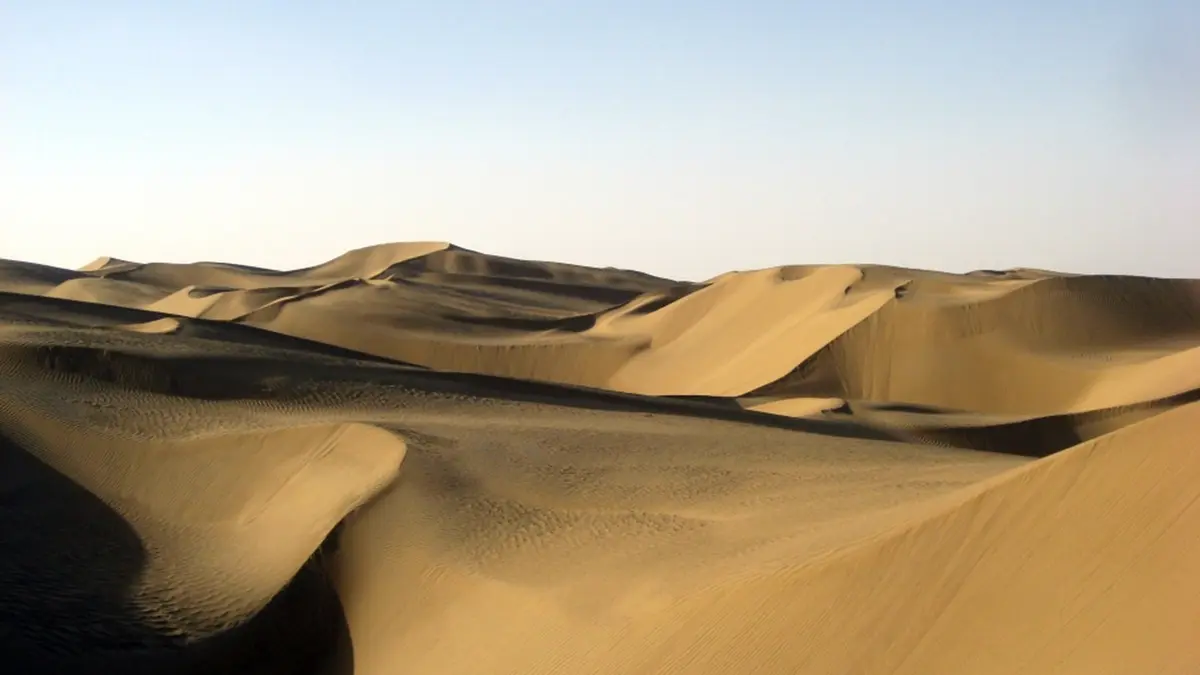 Taklamakan Desert: Greening, Carbon Uptake and the Water Limit