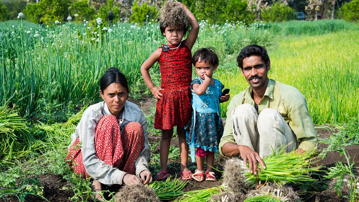 Pradhan Mantri Fasal Bima Yojana – Securing Farmers’ Harvests
