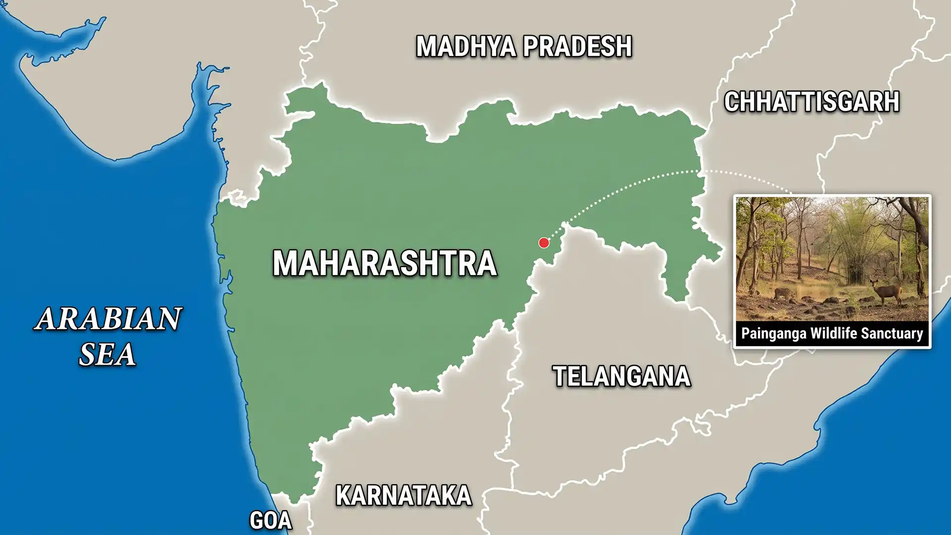 Painganga Sanctuary: Third Tiger Moved from Tadoba in 2026
