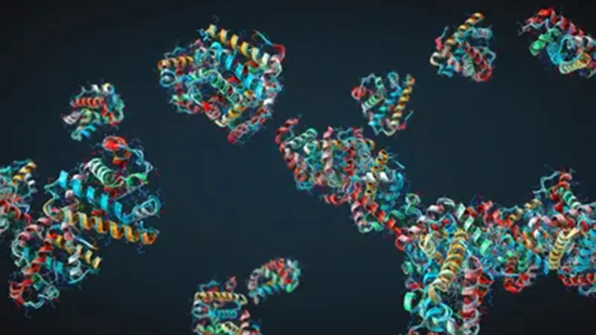 Childhood Proteome: Protein Signatures and Adult Disease Risk