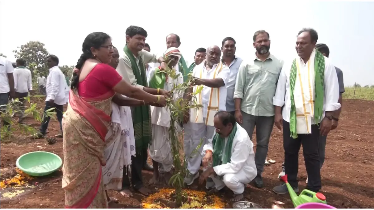 Bamboo plantations launched to support the Kolam tribe