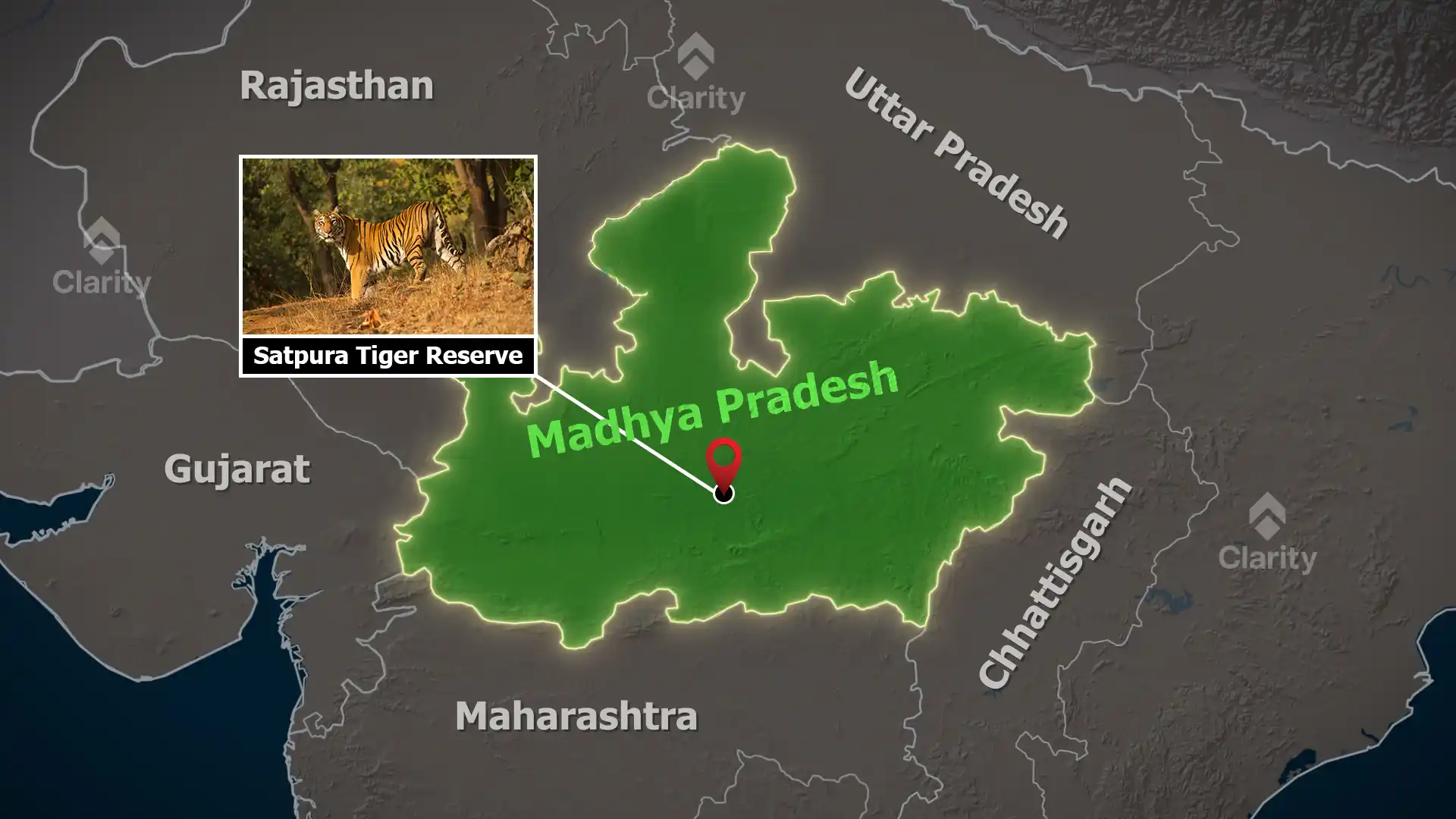 Satpura Tiger Reserve – Denwa River Sightings and Biodiversity