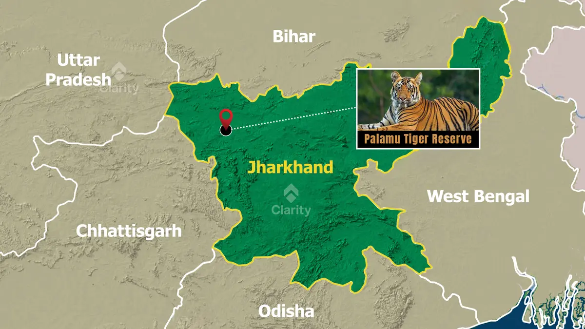 Vanjeevi Didi Initiative at Palamu Tiger Reserve