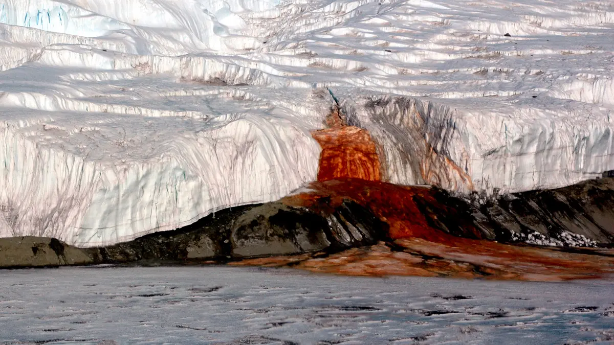 Blood Falls: Marine Legacy Traced beneath Antarctic Ice