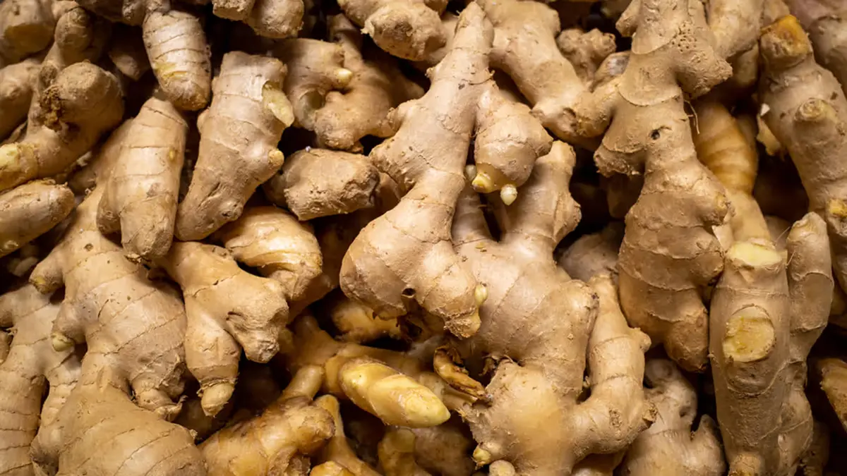 Mizoram Ginger Mission