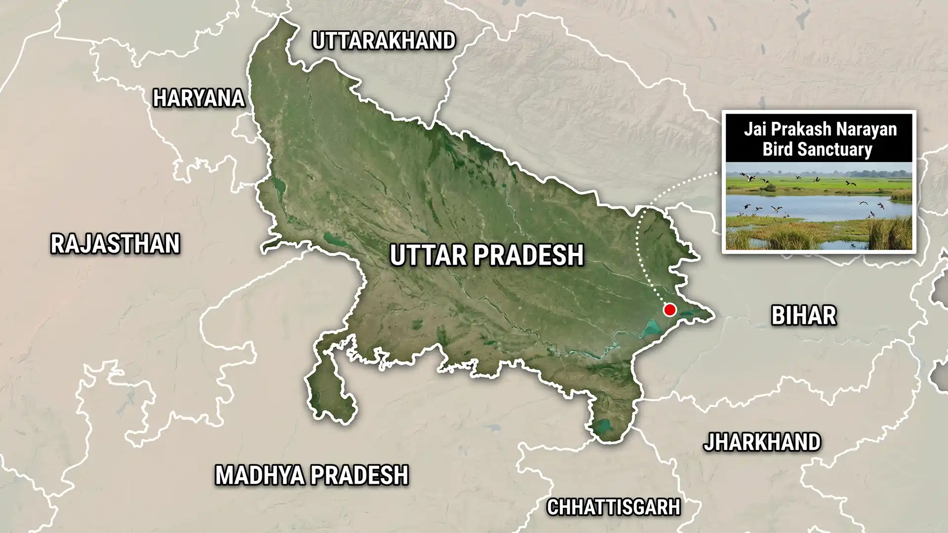 Surha Tal (Jai Prakash Narayan Bird Sanctuary) – India’s 100th Ramsar Site