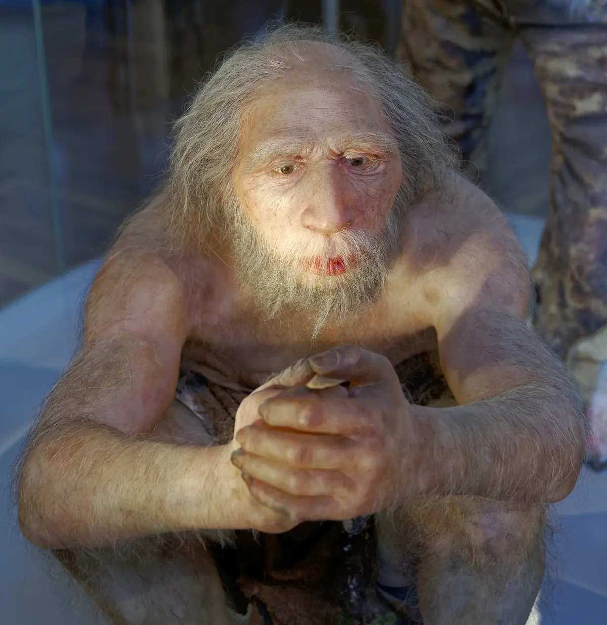 Did Neanderthals Truly Go Extinct? New Study Suggests Genetic Absorption