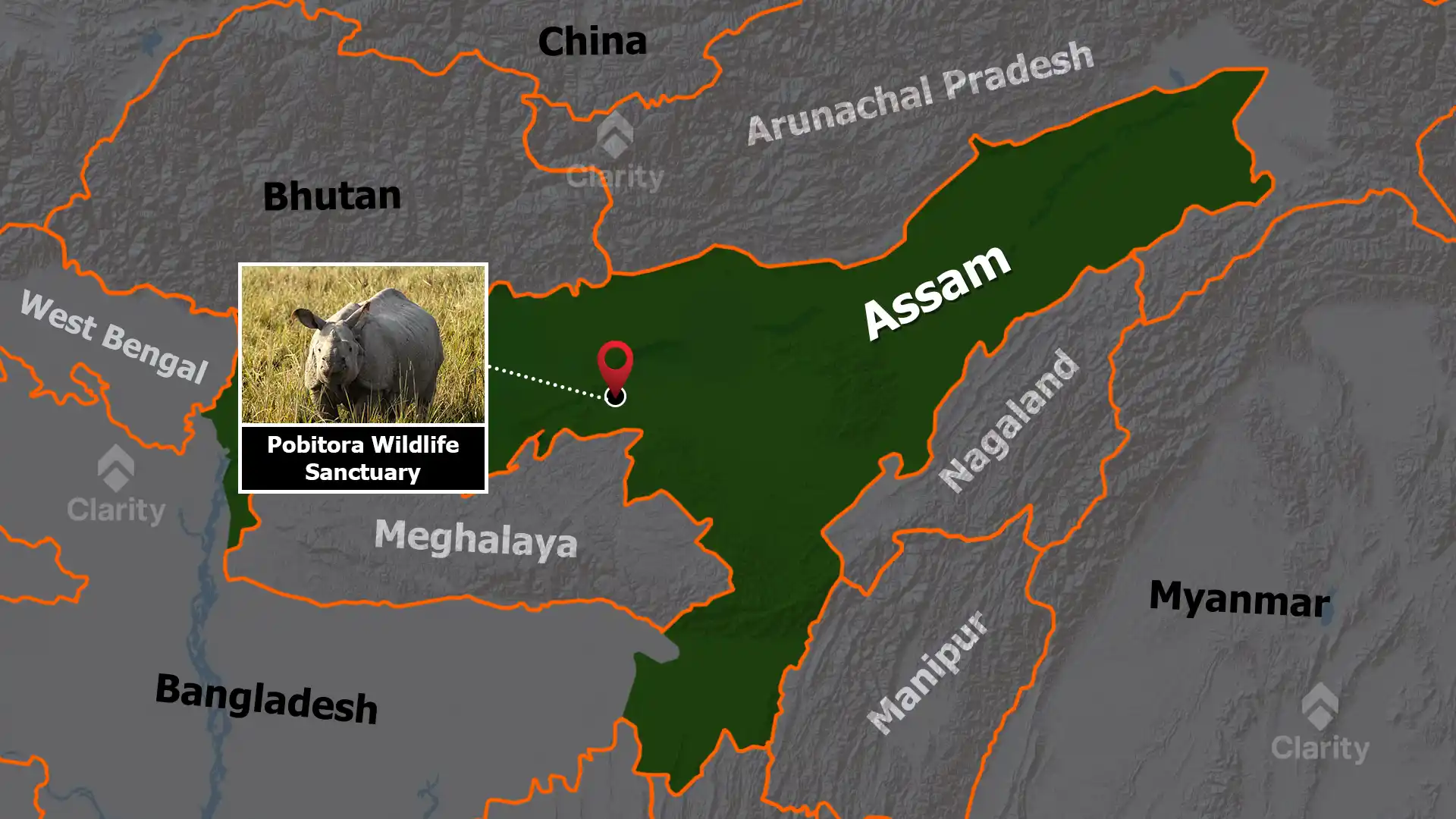 Pobitora Wildlife Sanctuary