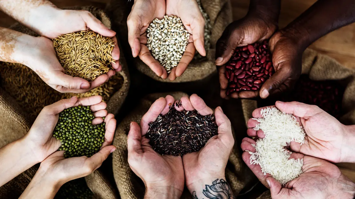 National Pulses Mission