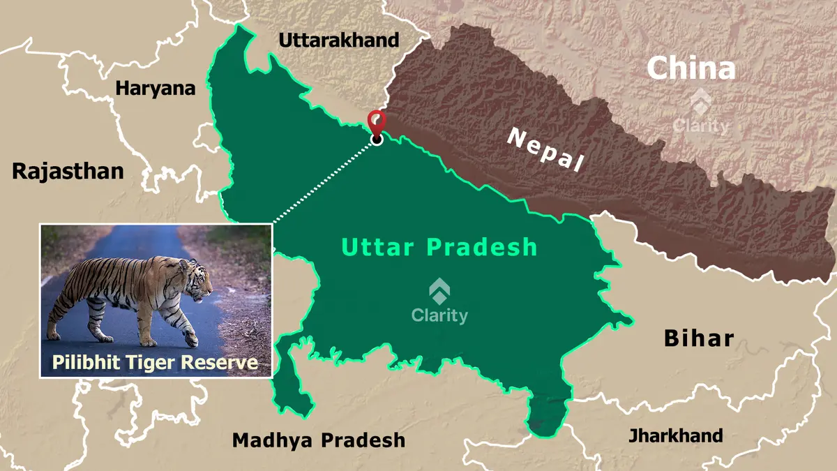 Pilibhit Tiger Reserve: Tourism Season Now 1 November to 30 June