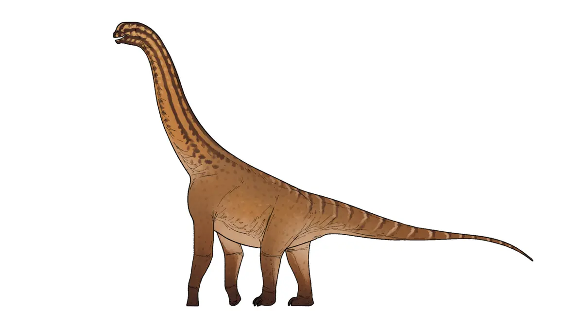 Ceratocaudia antiqua – A New Jurassic Dinosaur from Kachchh