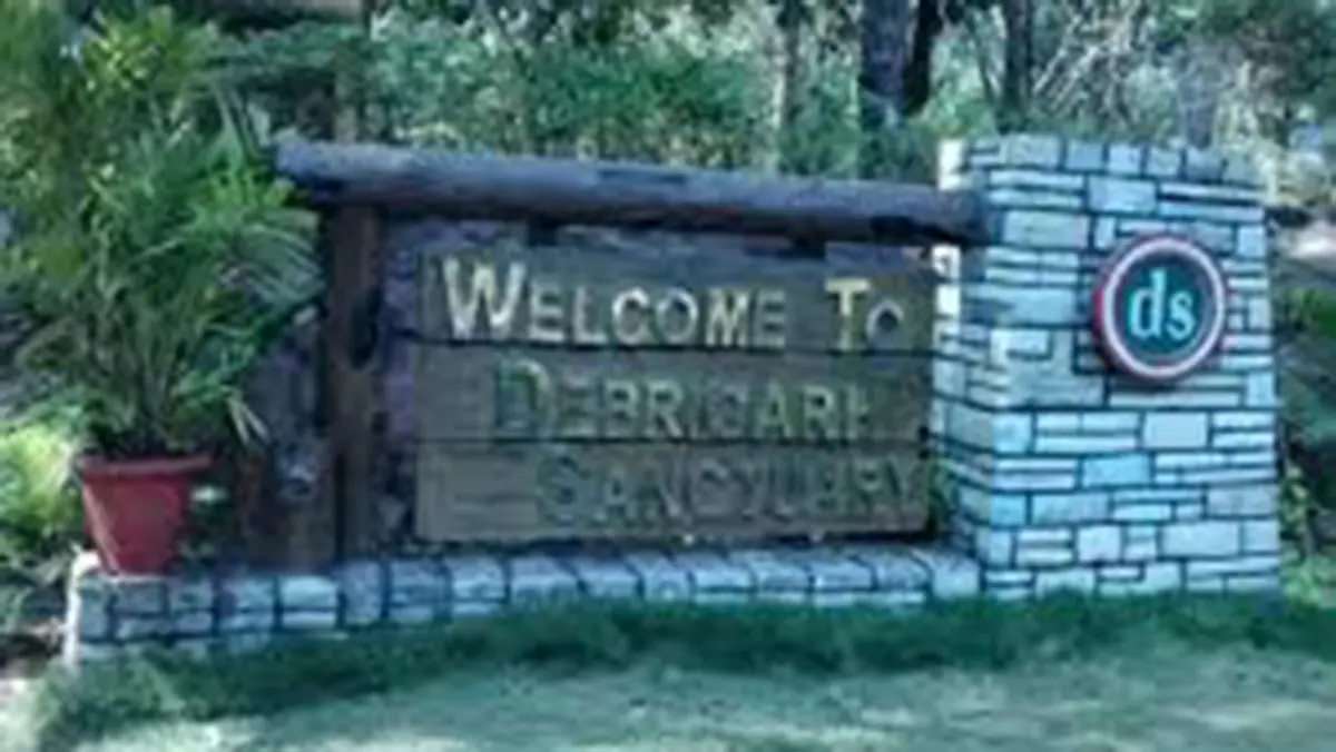 Debrigarh Wildlife Sanctuary and the Indian Bison Fest