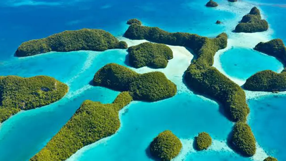 Ulong Island: Palau Seabirds Return after Rat Removal