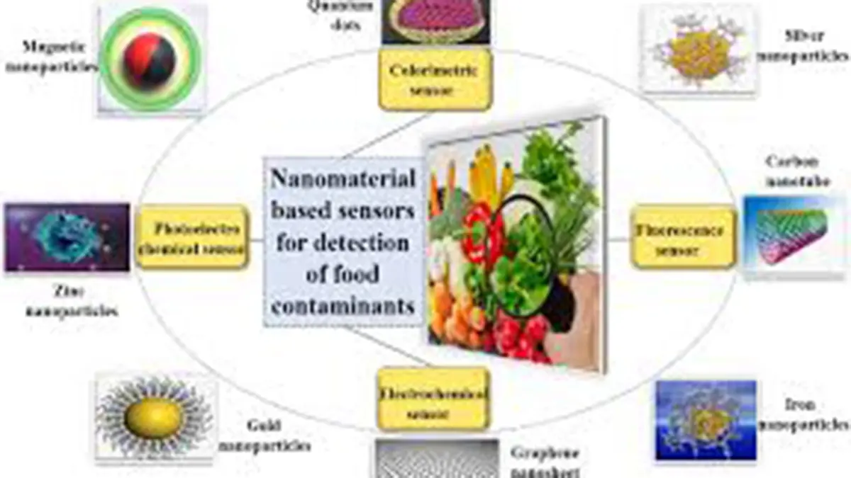 Detecting Rhodamine B – New Nanotech for Food Safety