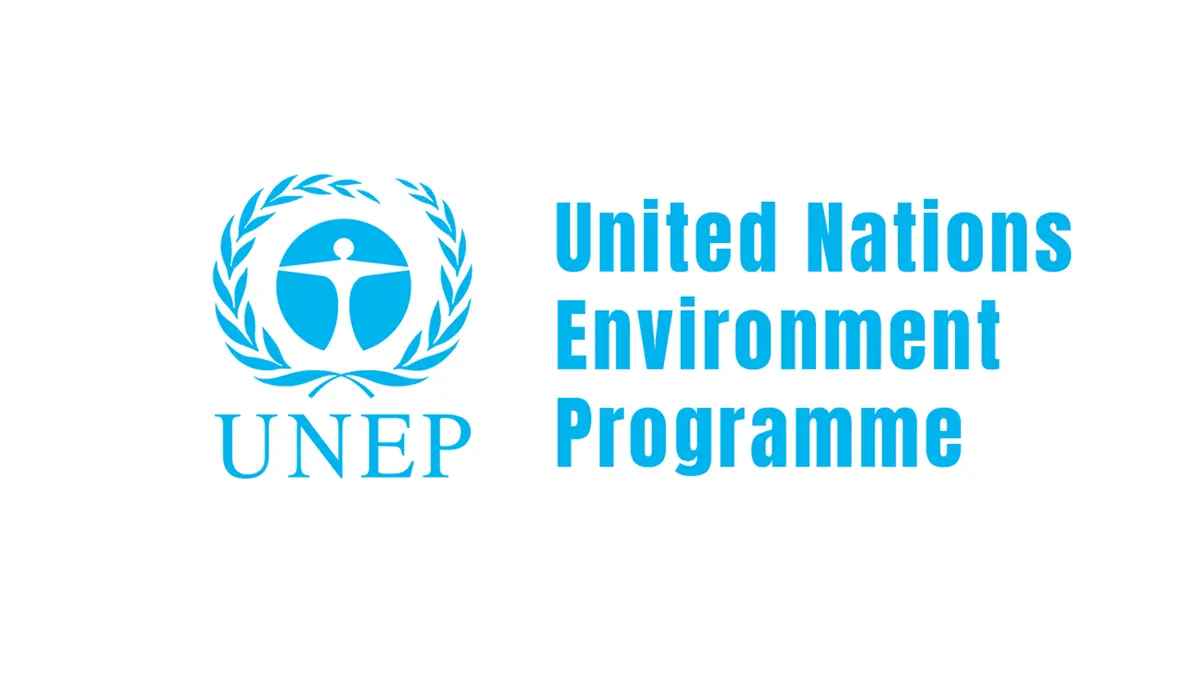 United Nations Environment Programme – Report on Safe Disposal of Unused Medicines