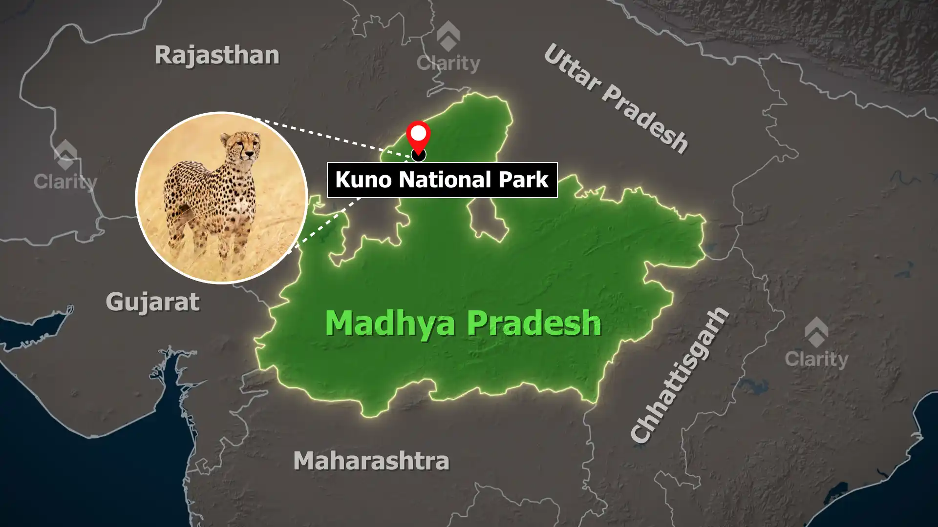 Kuno National Park and the Birth of Cheetah Cubs