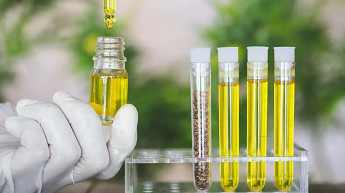 Bio‑Based Chemicals: India’s Push Towards Sustainable Chemistry