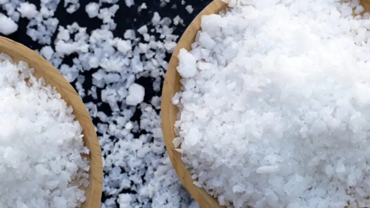 Caustic Soda Industry and the Fish Survival Test
