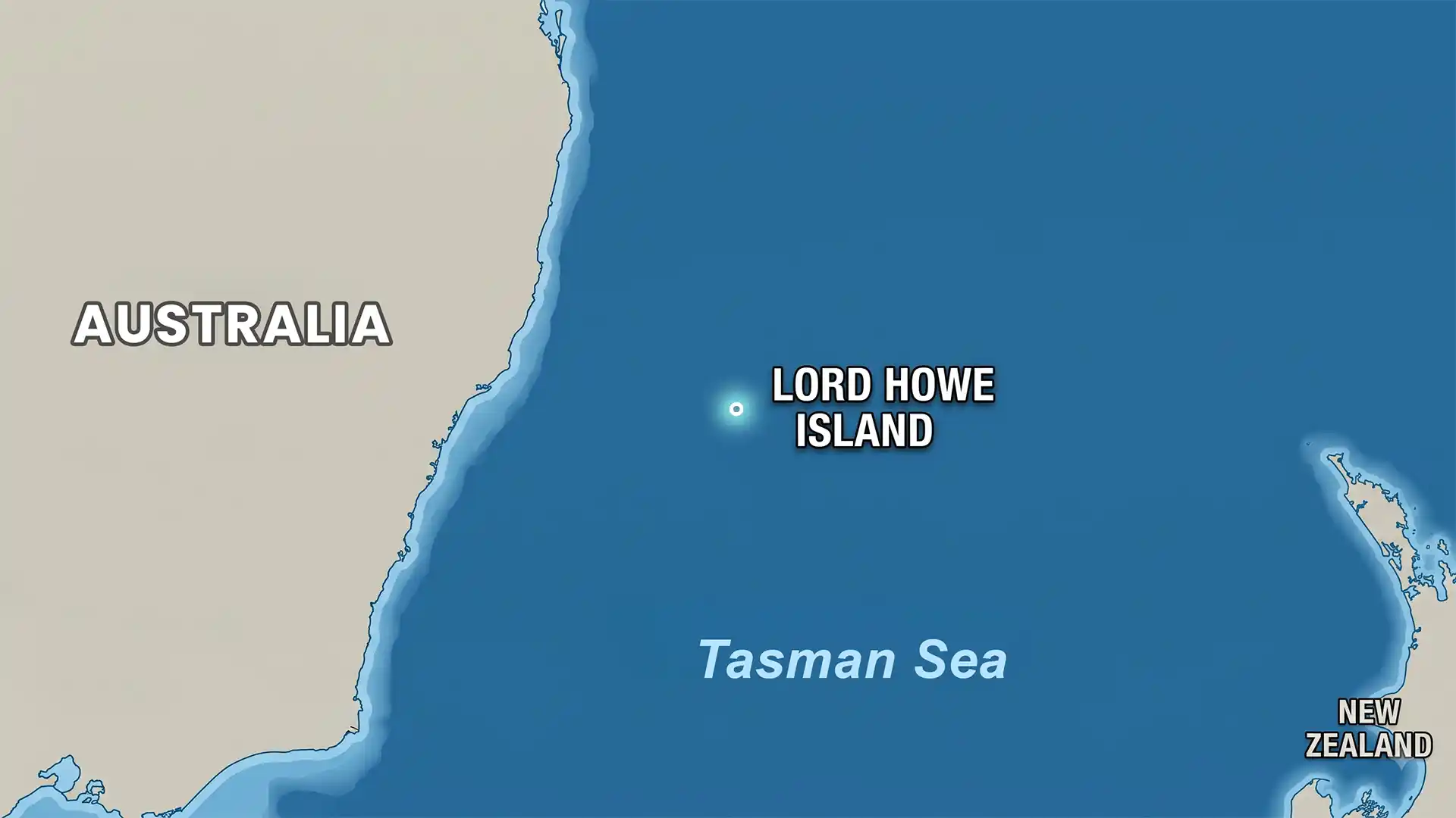 Lord Howe Island: Shearwater Chick Found With 894 Plastic Pieces