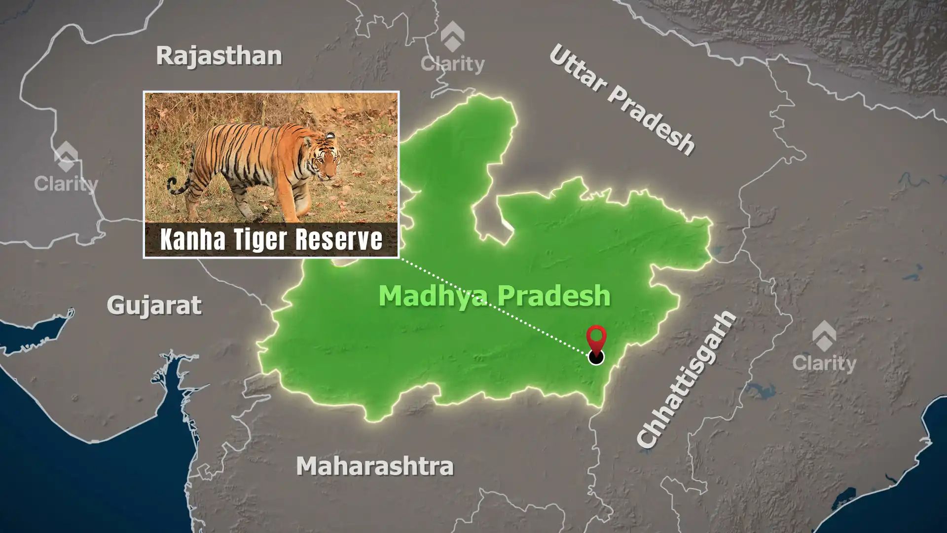 Translocating Asiatic Wild Water Buffaloes to Kanha Tiger Reserve