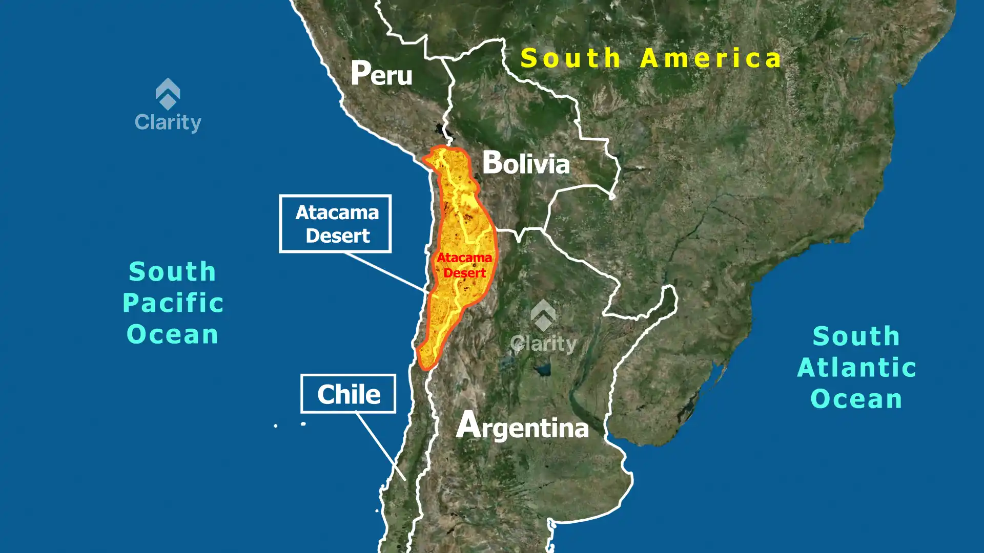 Atacama Desert Bloom: A Rare Burst of Life
