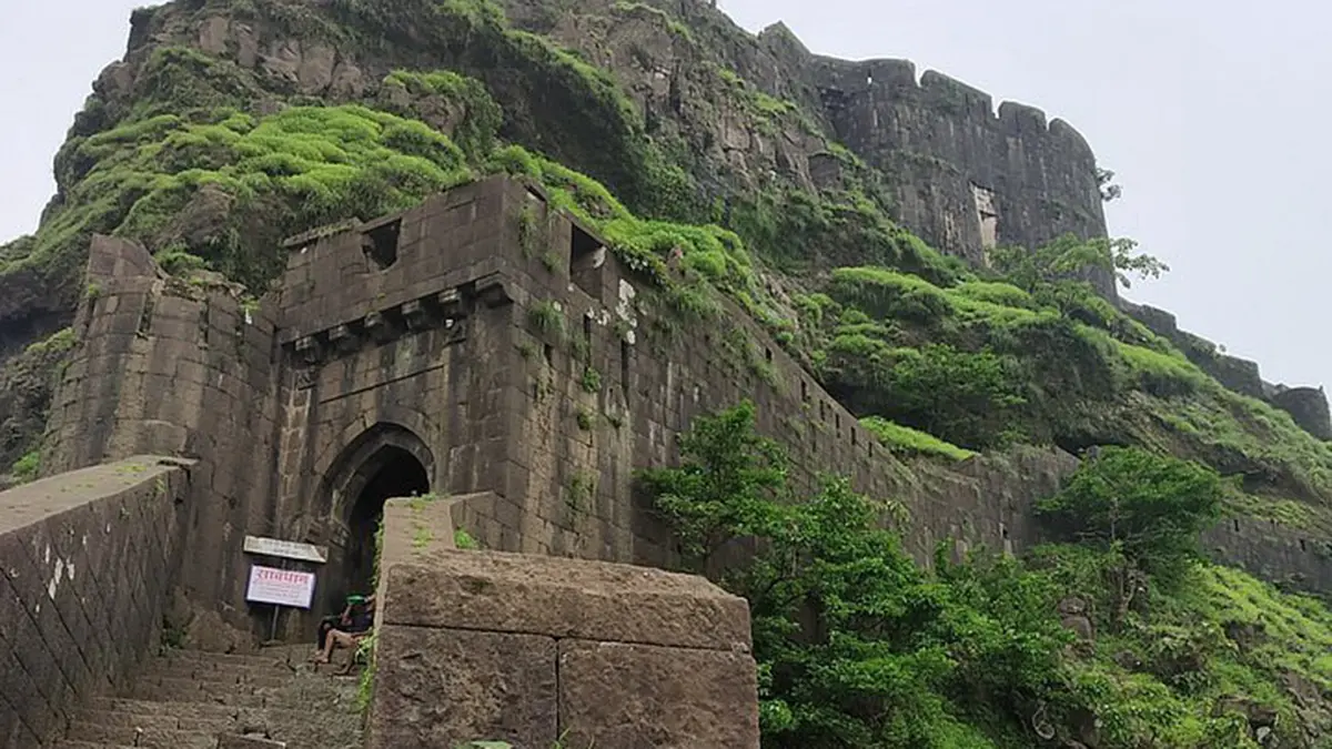 Bee Attack at Sinhagad Fort