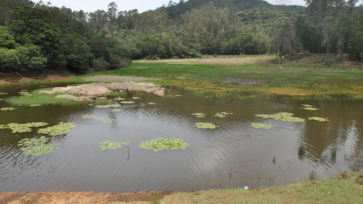 PIL for Tiger Census around Berijam Lake