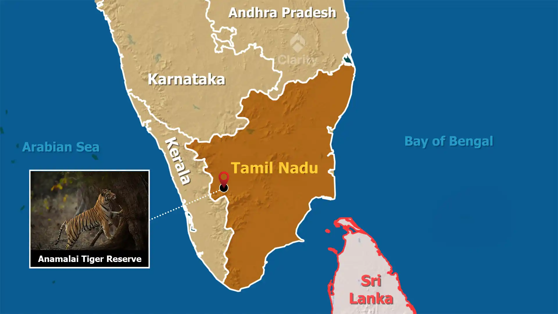 M‑STRiPES App to Monitor Tigers in Anamalai Reserve