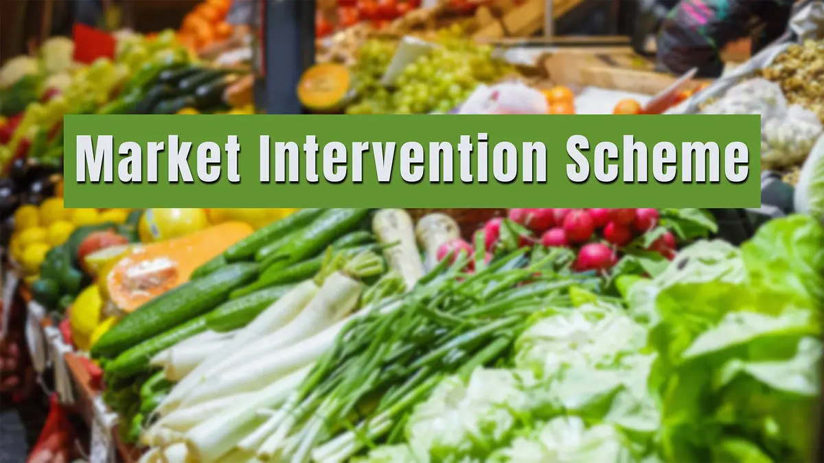 Market Intervention Scheme – Relief for Farmers