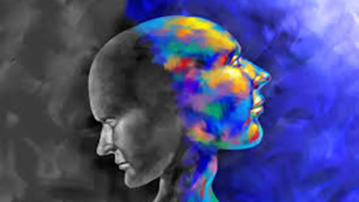 Psychedelics Loosen Sense‑of‑Self Networks in the Brain