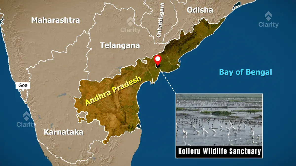 Kolleru Wildlife Sanctuary