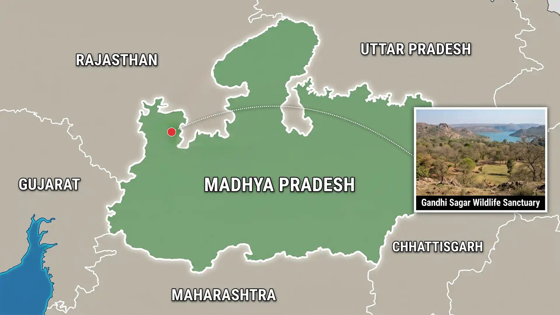 Gandhi Sagar Sanctuary: A Fourth Cheetah for the Chambal Enclosure