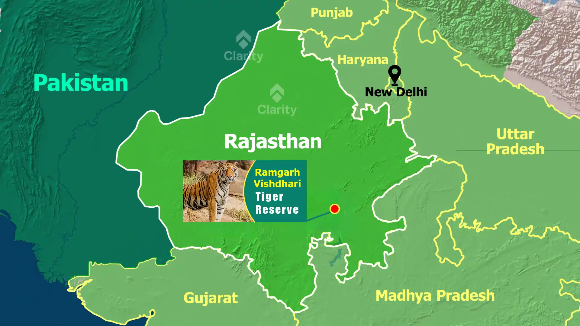 Tigress Relocated to Ramgarh Vishdhari Tiger Reserve