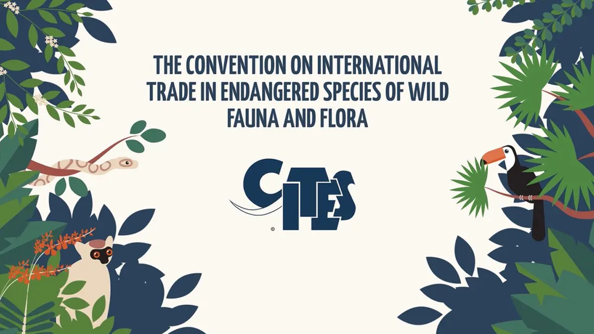 Convention on International Trade in Endangered Species of Wild Fauna and Flora