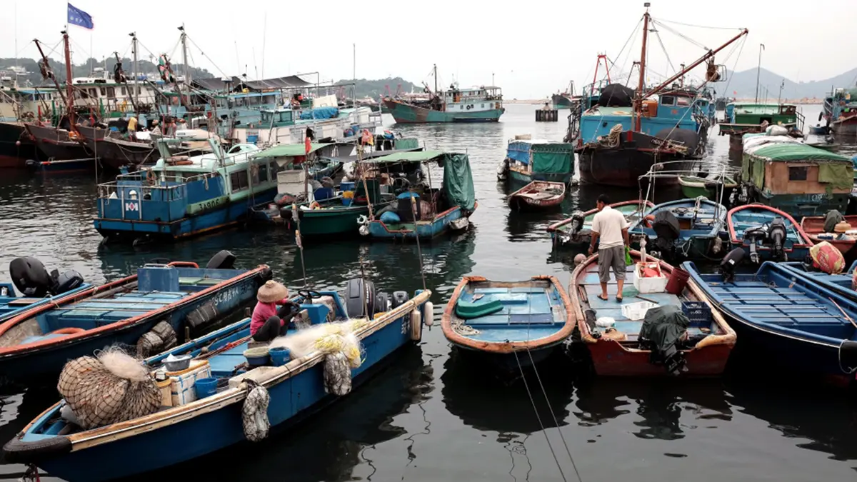 ReALCRaft Portal and Sustainable Fisheries Rules