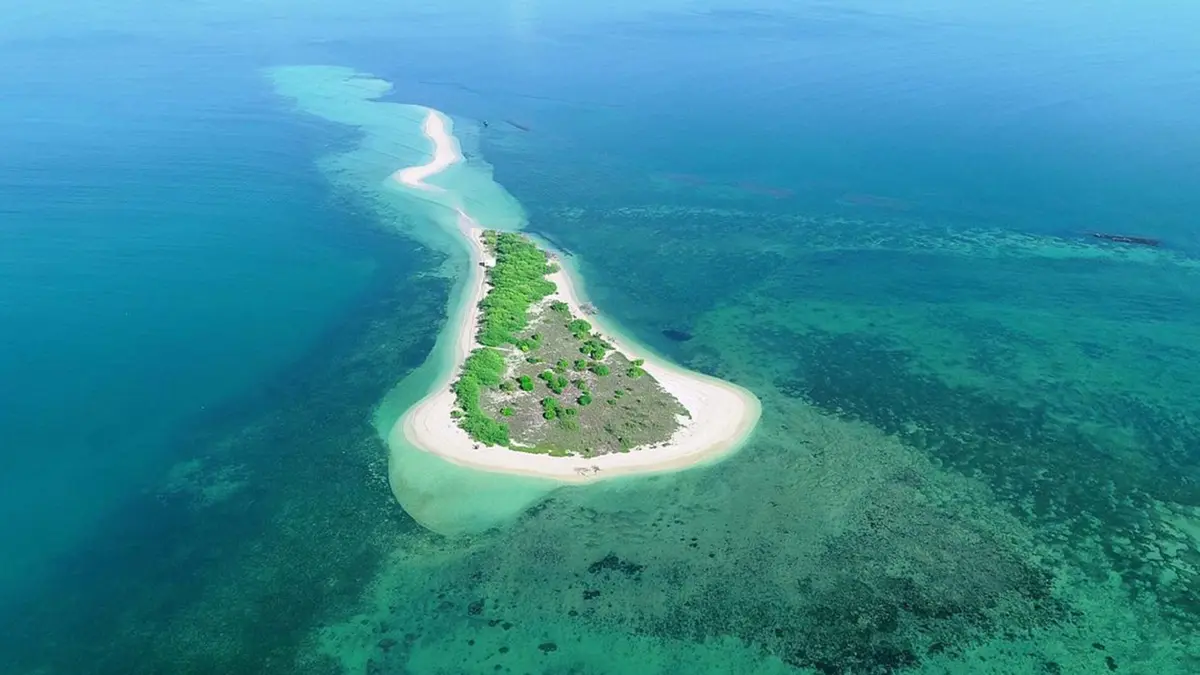 Vaan Island Reef Restoration