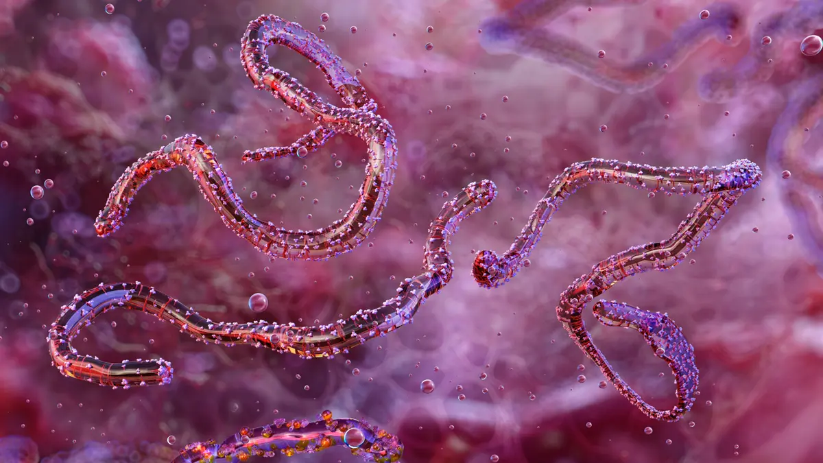 Marburg Virus Disease – A Deadly Haemorrhagic Fever