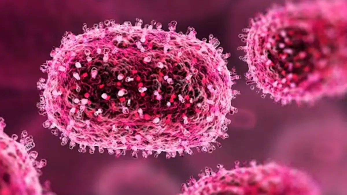 Chandipura Virus Infection