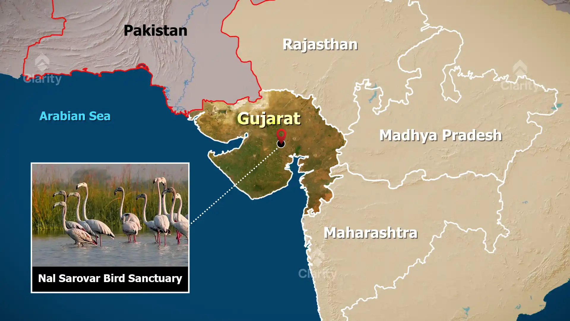 Nalsarovar Bird Sanctuary Records Over Five Lakh Birds