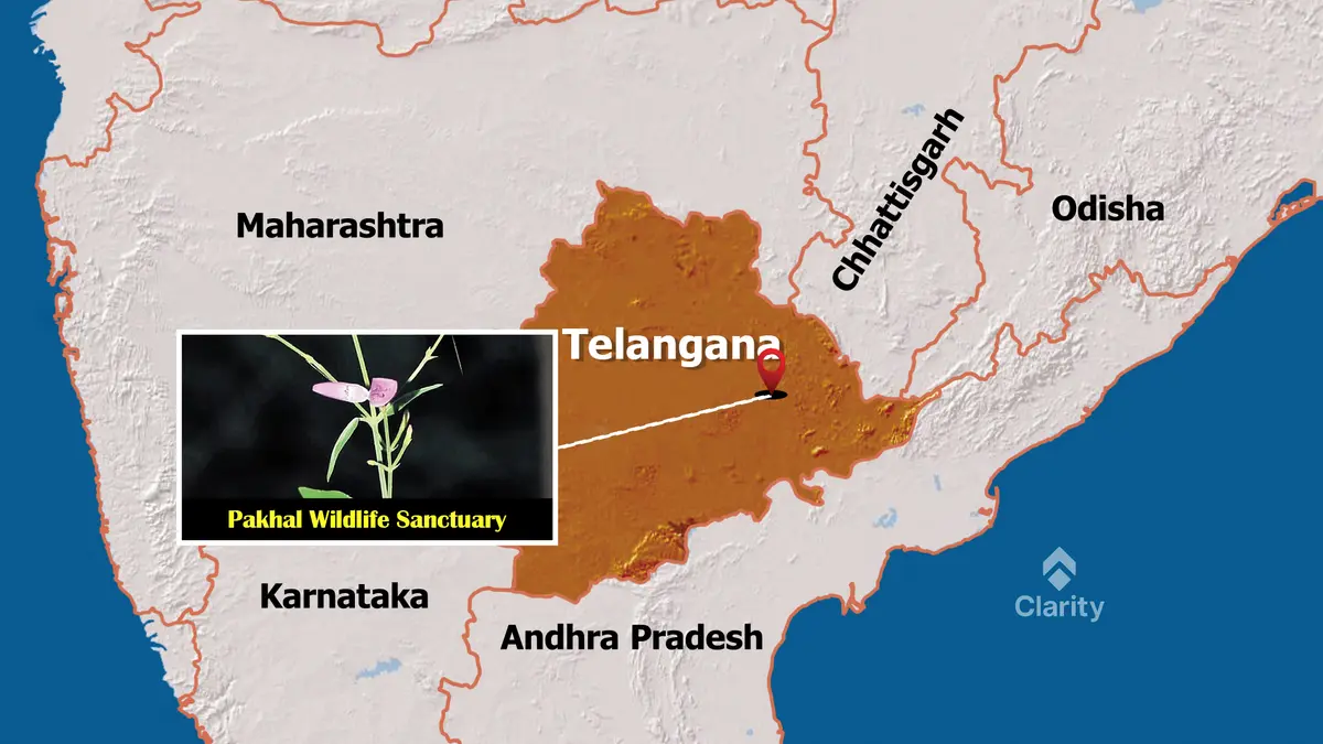 Pakhal Wildlife Sanctuary – Discovery of Dicliptera pakhalica