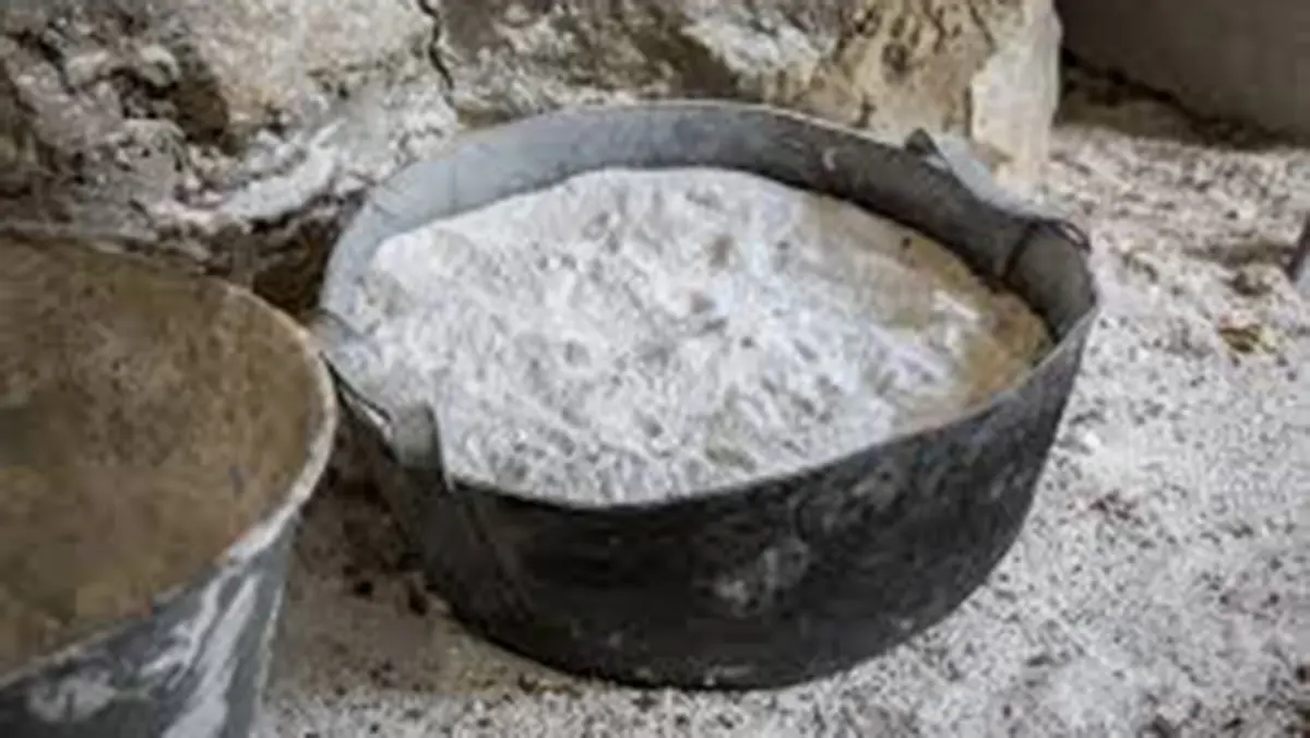 Gypsum in the Salar de Pajonales: Clues for Life on Mars