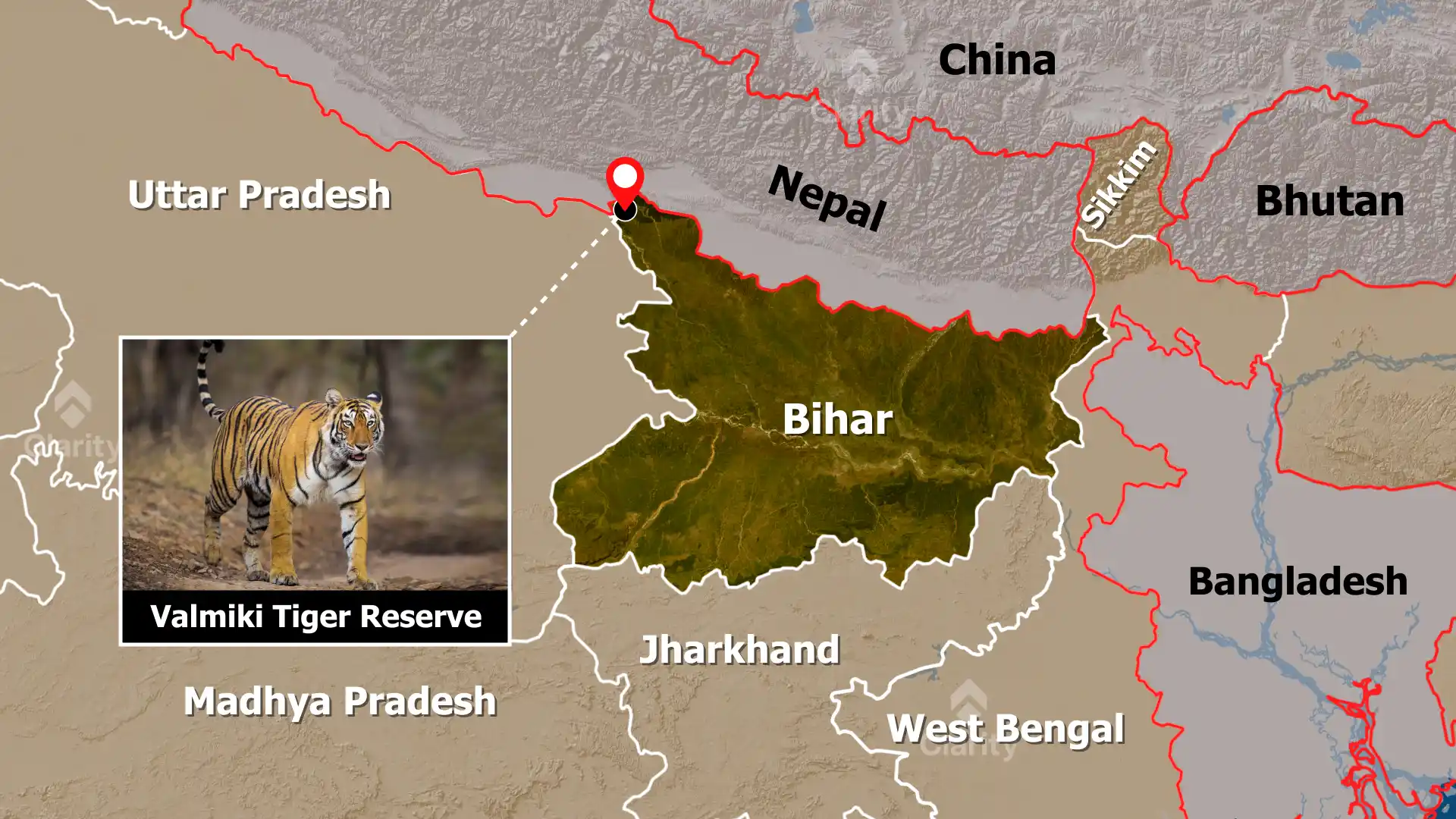 Tiger Numbers Soar in Valmiki Tiger Reserve