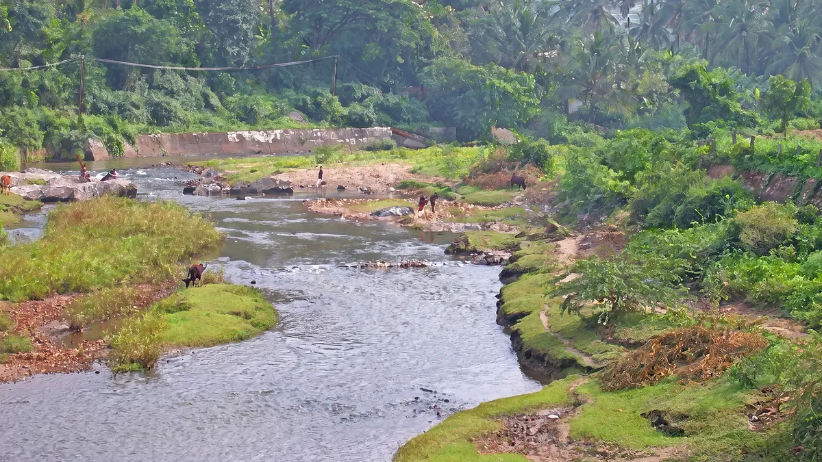 Noyyal River – Pollution and Heritage
