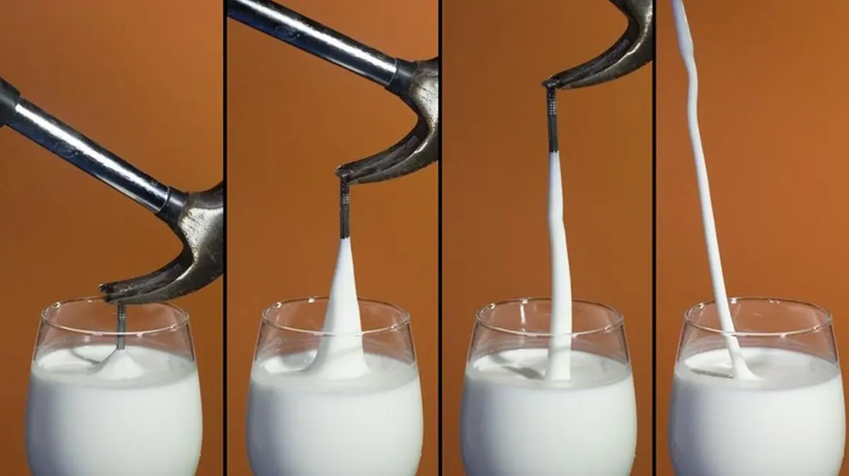 Cornstarch – Behaviour of a Non‑Newtonian Fluid