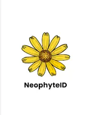 NeophyteID – AI Tool for Identifying Invasive Plants