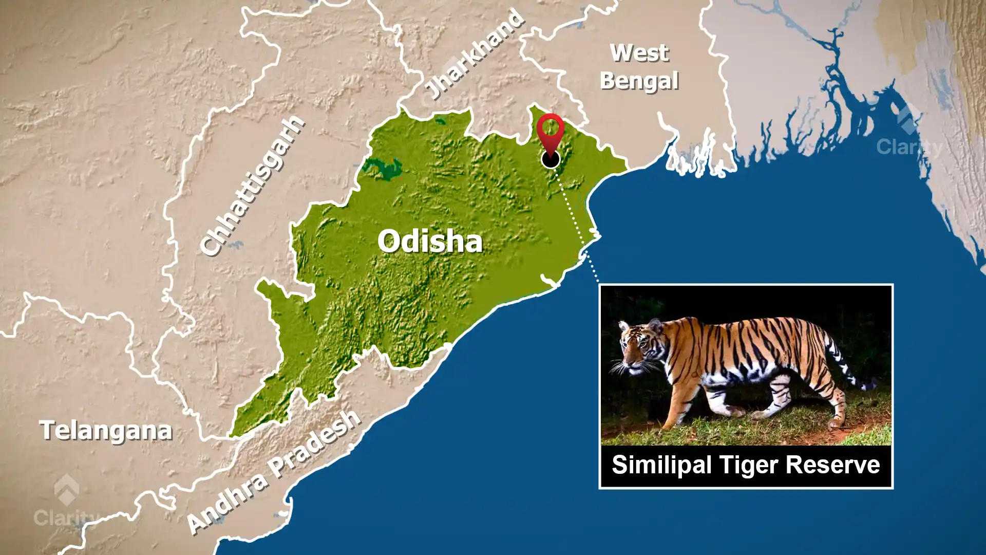 Similipal Tiger Reserve: Home of Rare Black Tigers